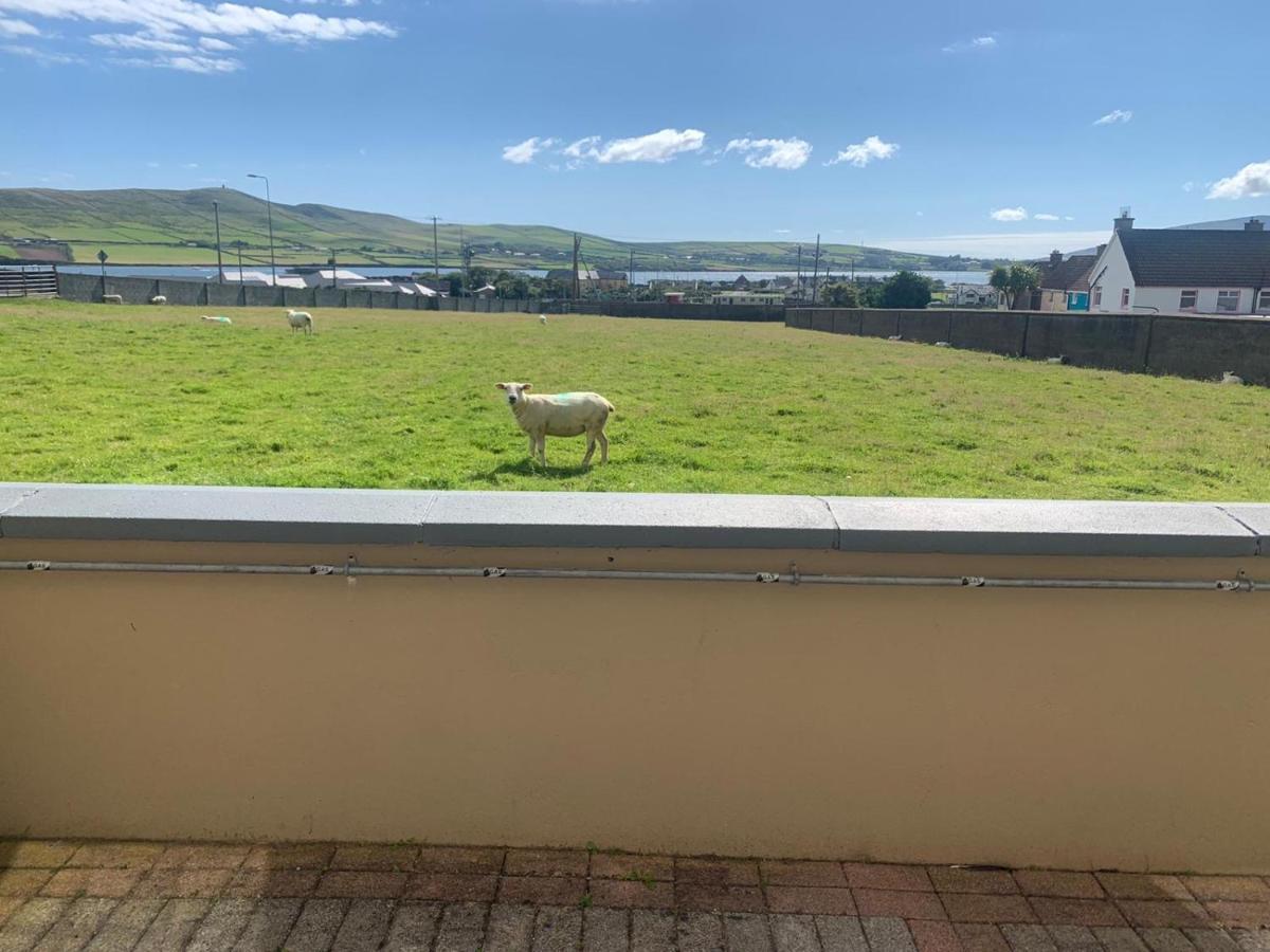 Seaview Heights Bed and Breakfast Dingle Exteriör bild