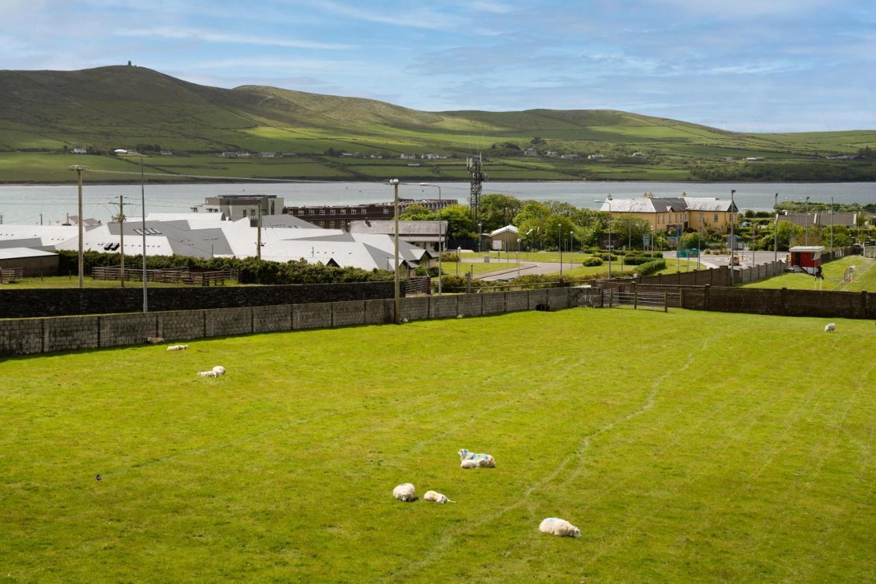 Seaview Heights Bed and Breakfast Dingle Exteriör bild